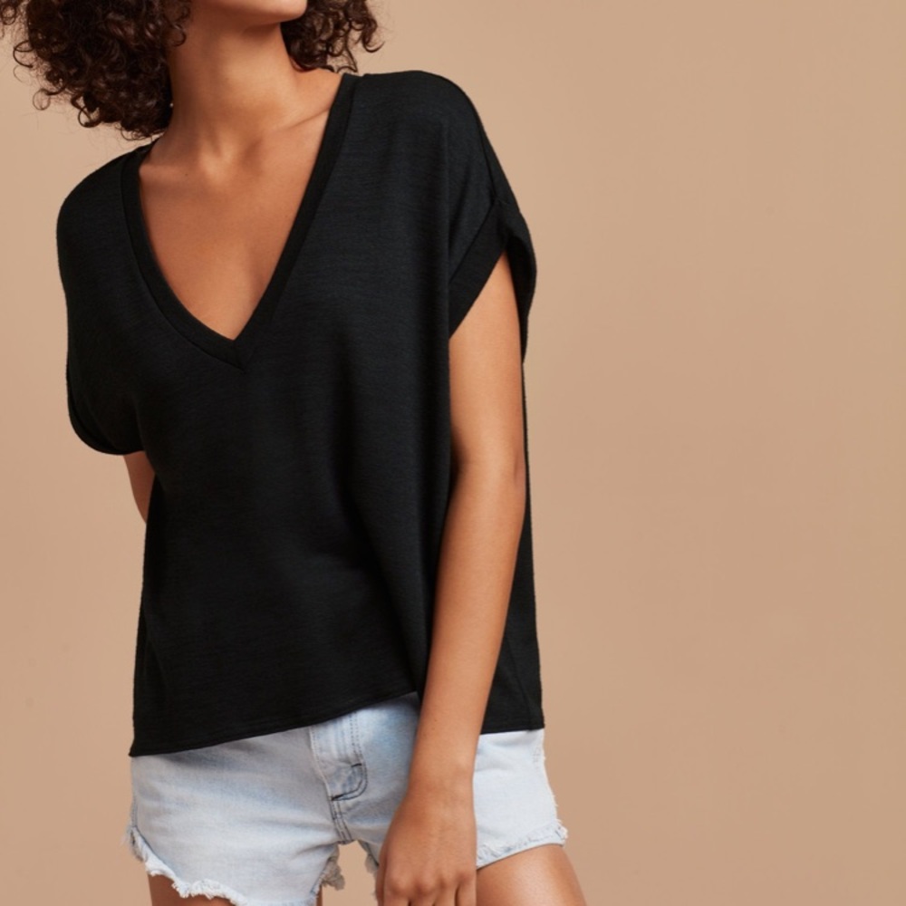 Aritzia Wilfred free brosh t shirt